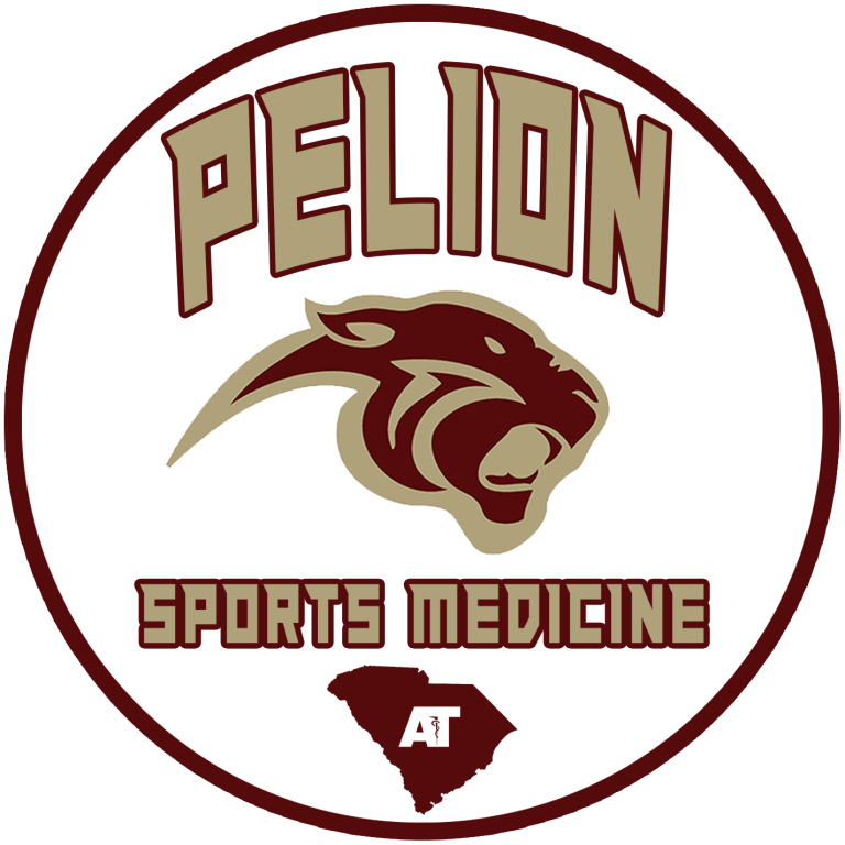 PELION SM LOGO NEW 1 768x768