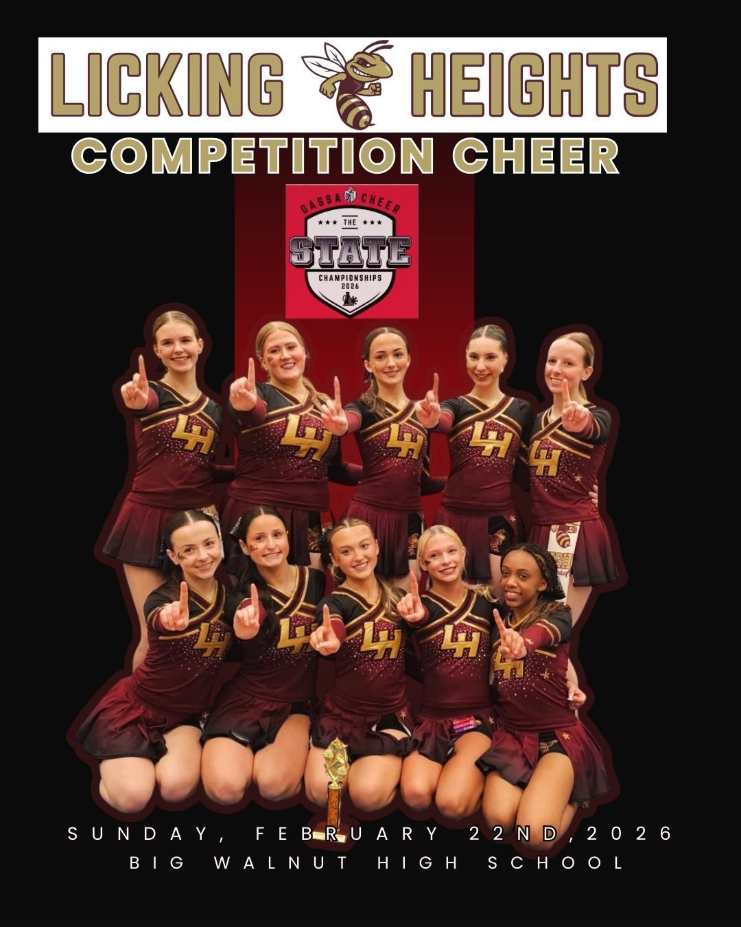 Cheer Competition Team - Licking Heights
