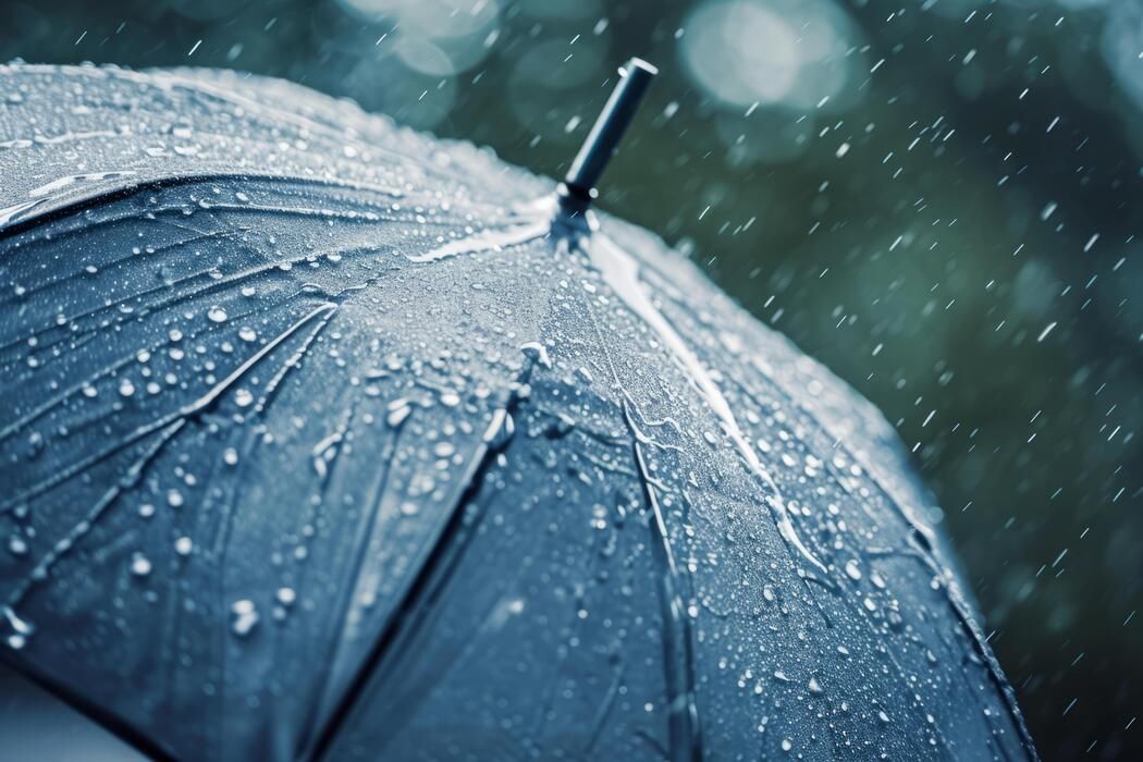 Umbrella 1775571112475