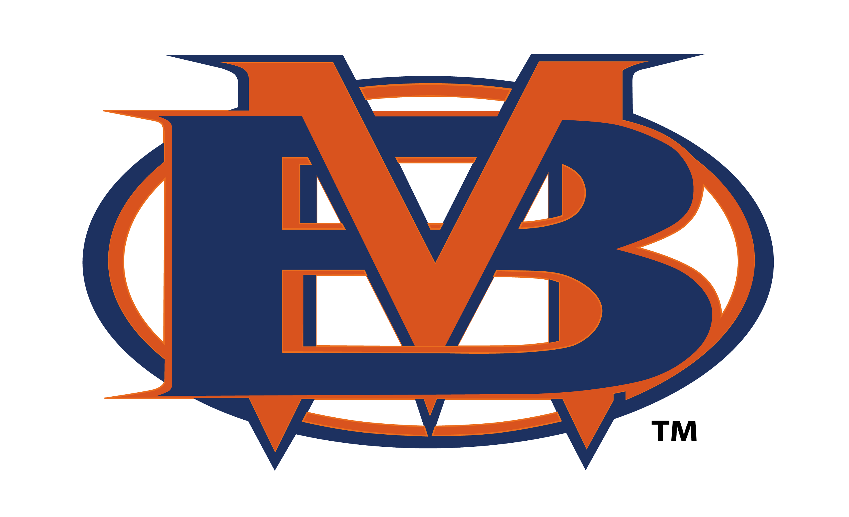 BMHS BM Transparent 1784048036328